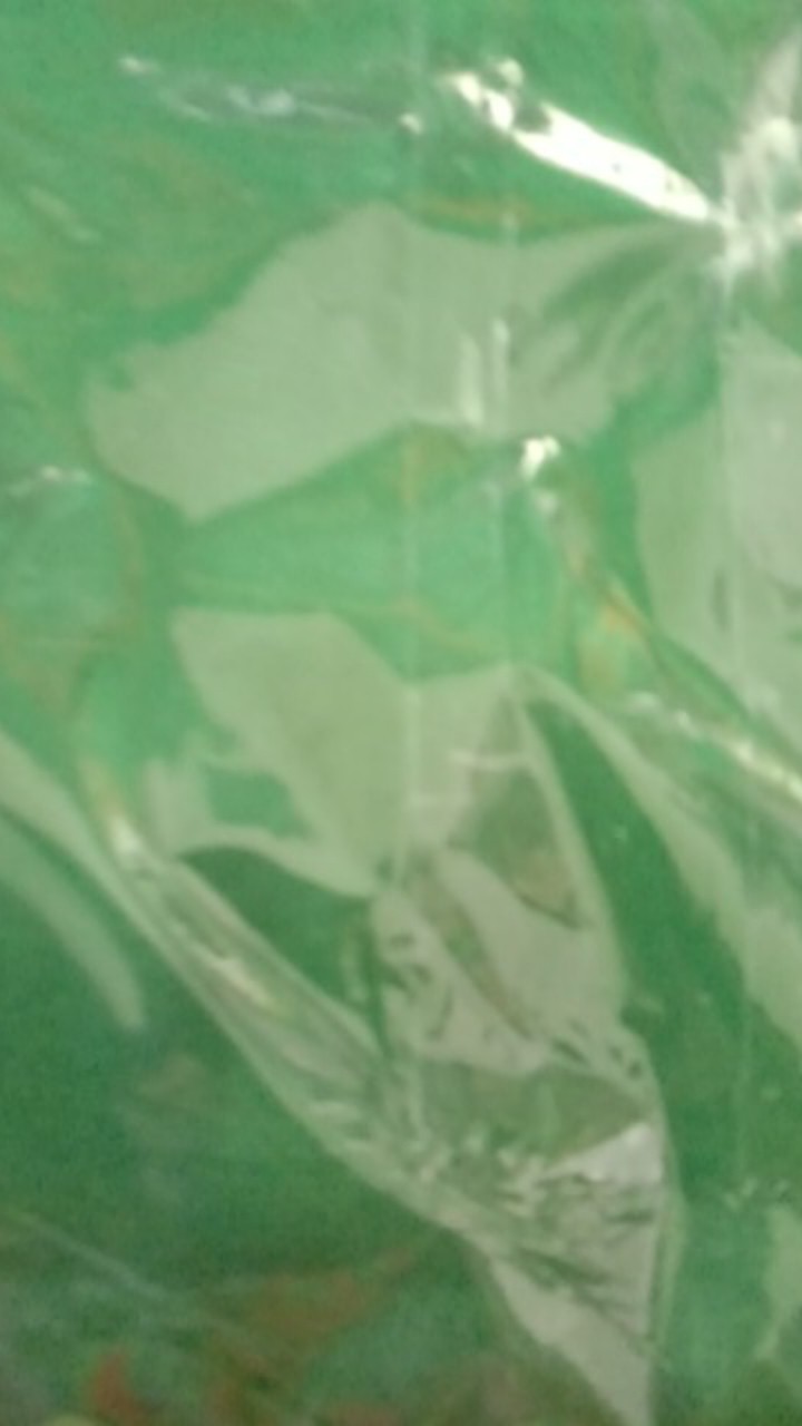 Tutup Keranda Kaligrapi Dibordir Temurah