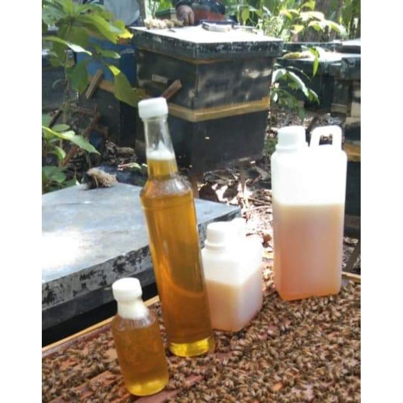 

Madu murni 100 %
