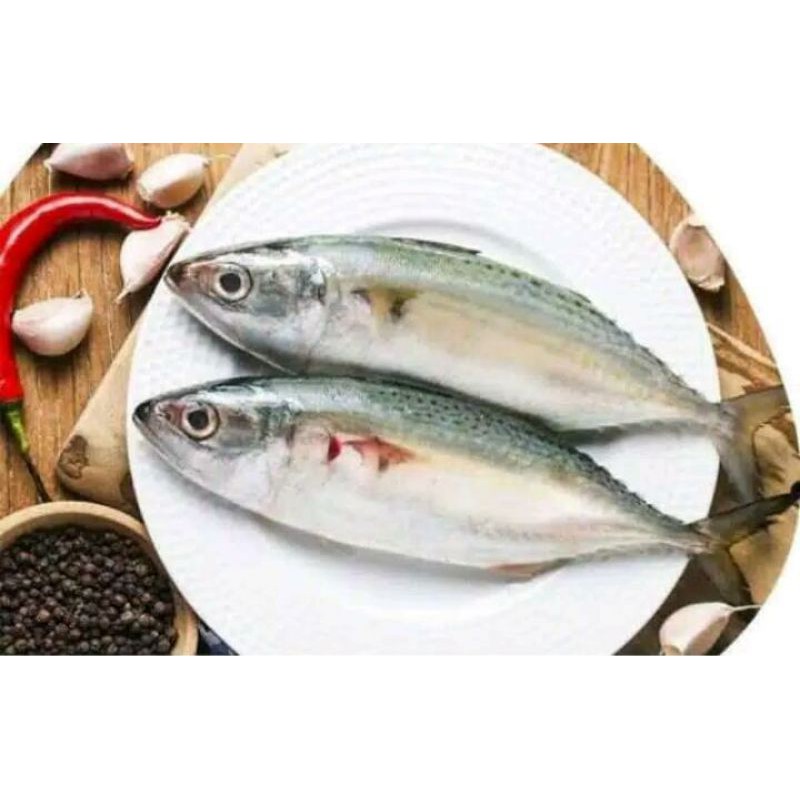 

Ikan Kembung Segar 500gr