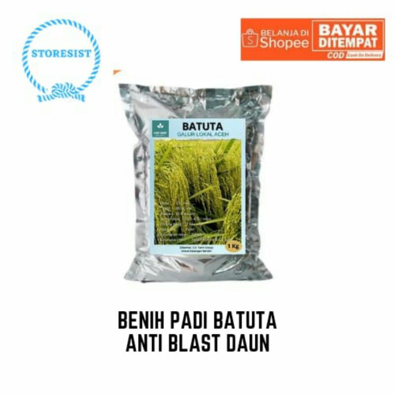 Benih Padi Batuta Padi Tahan Blast Daun