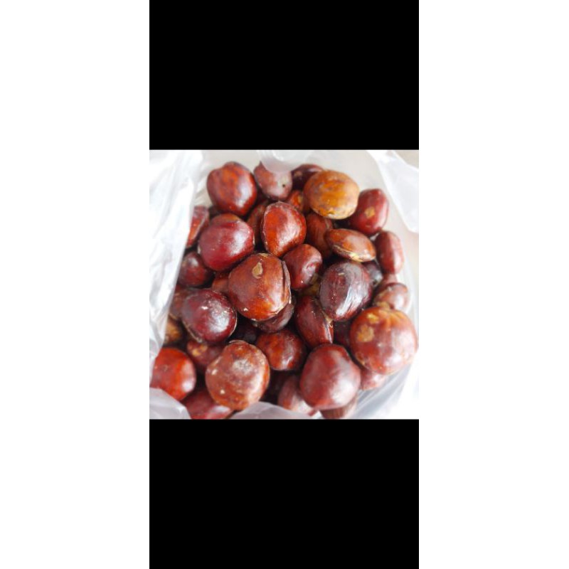 

jengkol
