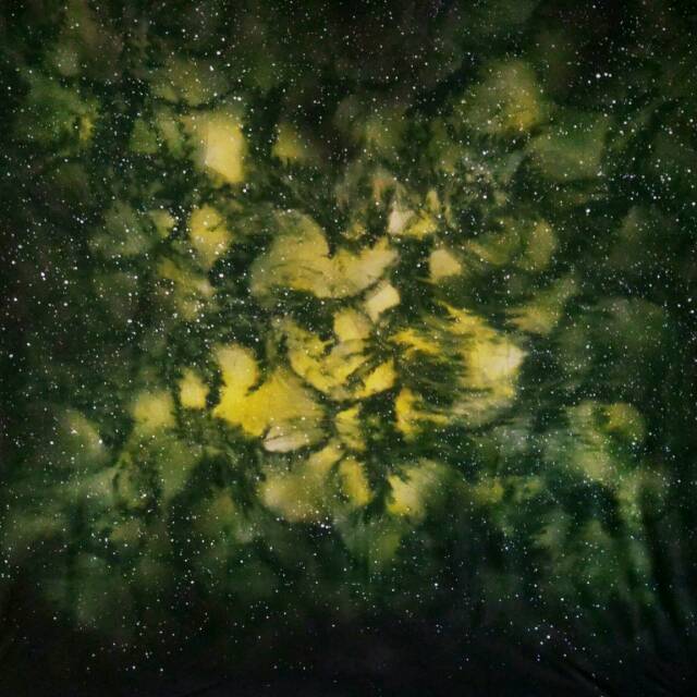 Background Foto Abstrak Hijau Bintik Putih Shopee Indonesia