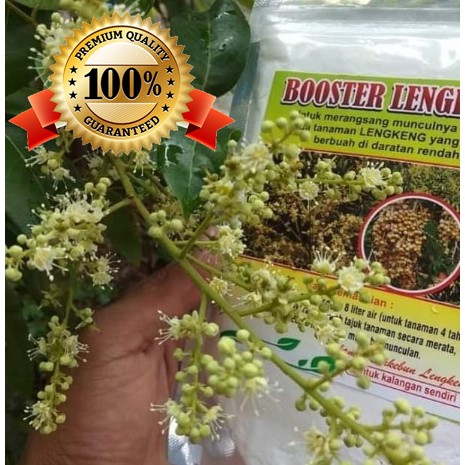 PUPUK BOOSTER KELENGKENG LENGKENG