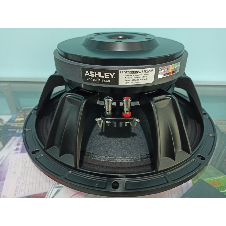 PROFESIONAL LOAD SPEAKER ASHLEY 1000W SUPER BASS 12 INCH SPEAKER BADAK