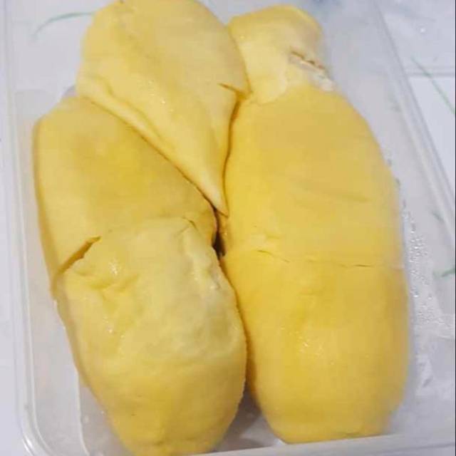 

Duren GARANSI MANIS LEGIT GRADE A