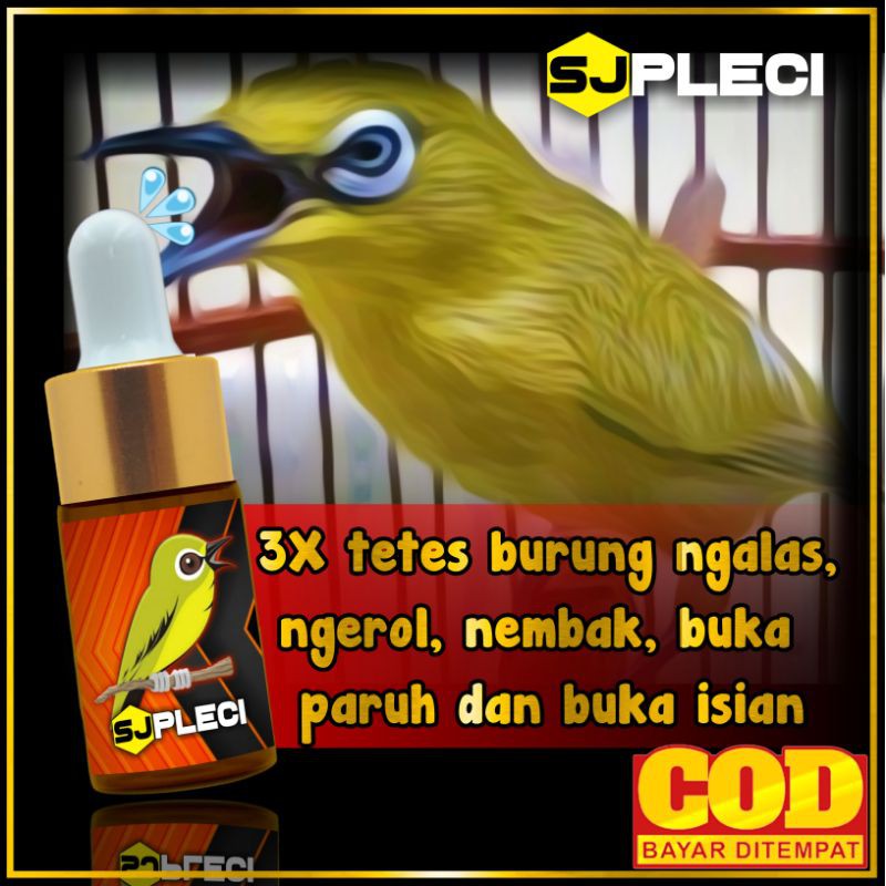 Vitamin Sj Pleci Vitamin Penggacor Burung Pleci Shopee Indonesia