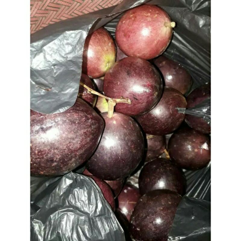 murahhhhh bangetttt hadir kembali aprikus/kenitu ungu manis 1kg