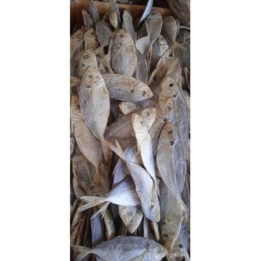 

ikan asin selar Cilacap