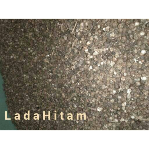 

lada hitam / merica hitam ( black pepper ) 100 gram