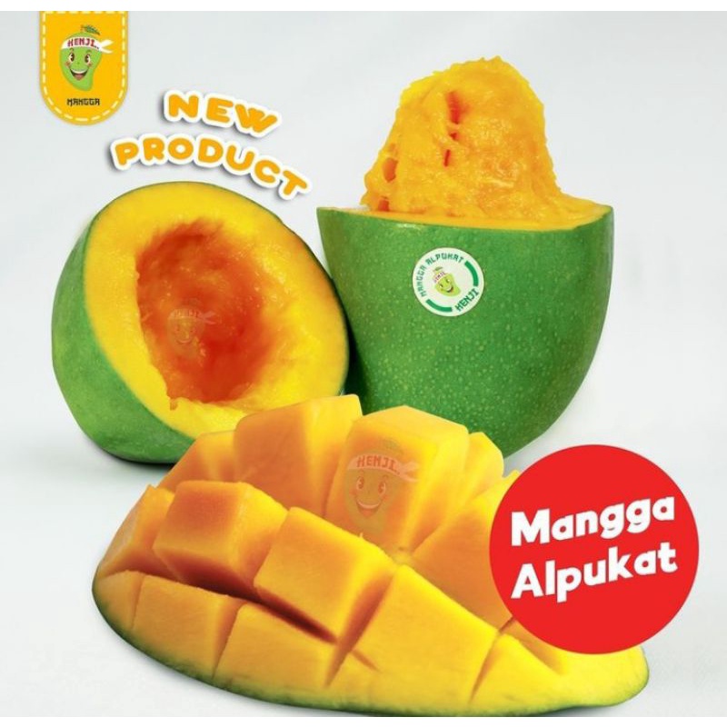 

mangga alpukat