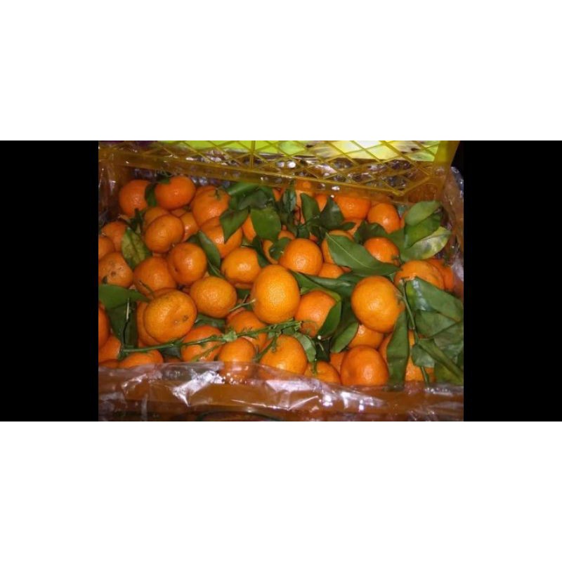 

Jeruk Shantang Tangerine ||impor|| seedless (tanpa biji) MOHON BACA DESKRIPSI !