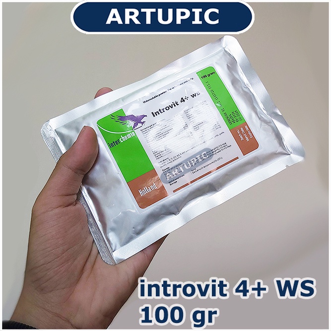 introvit 4+ WS 100 gr mempercepat pertumbuhan penambah berat badan meningkatkan produksi telur daya tahan tubuh mengatasi stres stamina kualitas daging telur susu pindah kandang stres cuaca Sapi Kambing Babi Ayam Domba