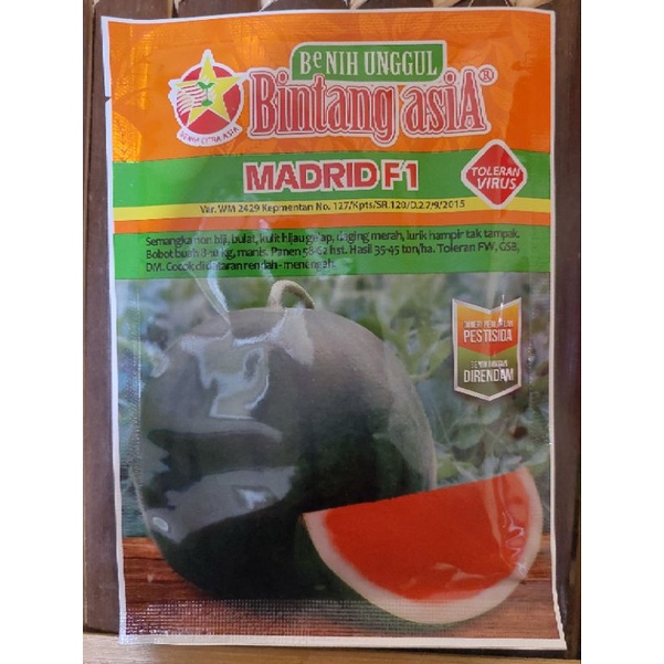 Benih Semangka Madrid F1 Bulat Non Biji Tahan Virus