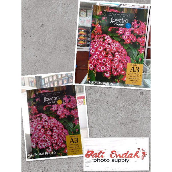 Kertas Foto Spectra A3-Silky/Glossy