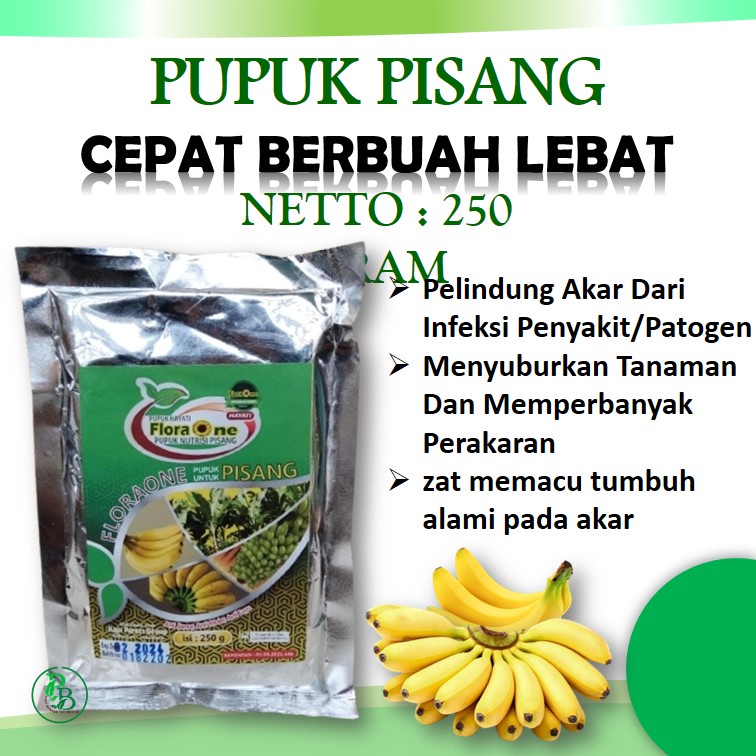 Booster Hayati Pohon Pisang Nangka,Nutrisi pisang agar berbuah besar & Anti Layu Fusarium