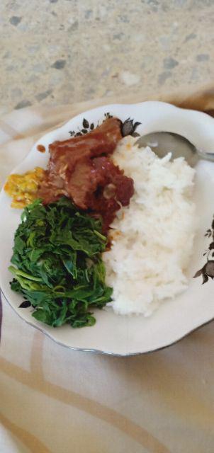 Tanaman Hias - Bibit Bunga Ande Lumut