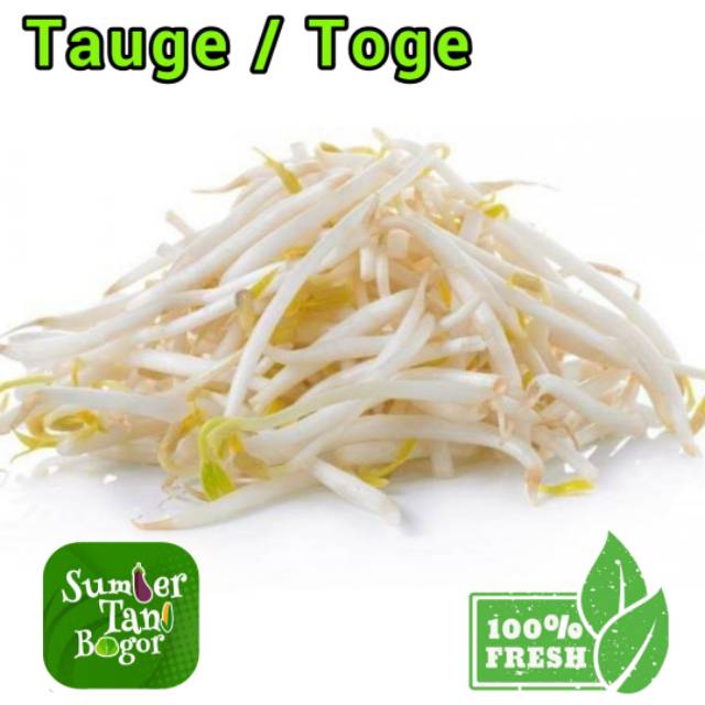 

TOGE / TAUGE - Per 500 Gram