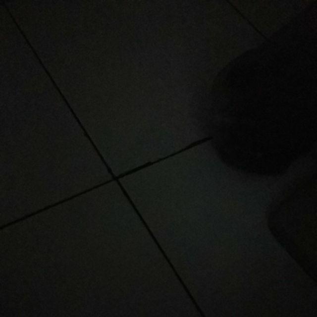 Sancu Tayo 1kg Muat 5psg (untuk Semua Ukuran Dan Karakter) -harga Bisa Nego