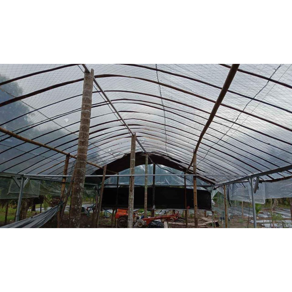 plastik pelastik uv green house ukuran 8x7 meter 200micron tanpa sambungan