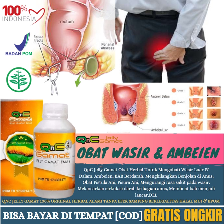 Obat Penyakit Wasir, Ambeien Susah Duduk & Jalan, Sakit BAB, BAB Berdarah, Herbal QnC Jelly Gamat
