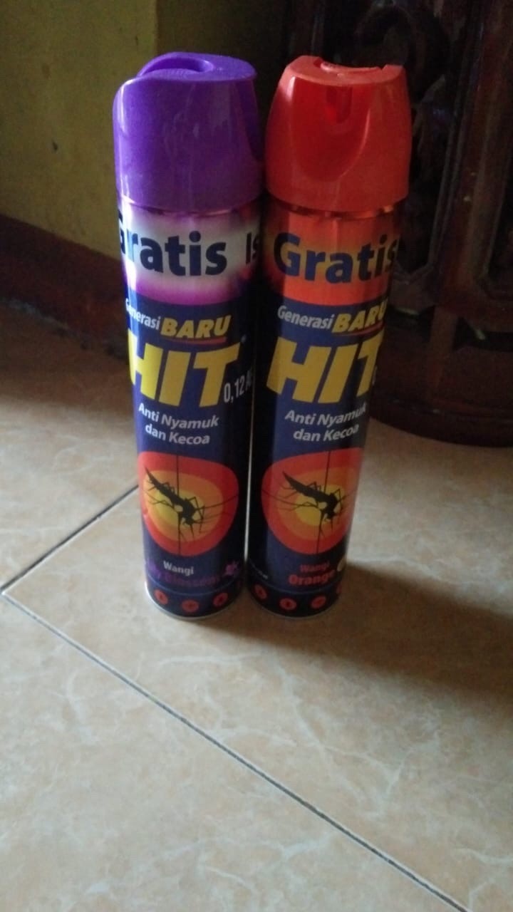 Hit Aerosol 600 Ml Lily Blossom /orange