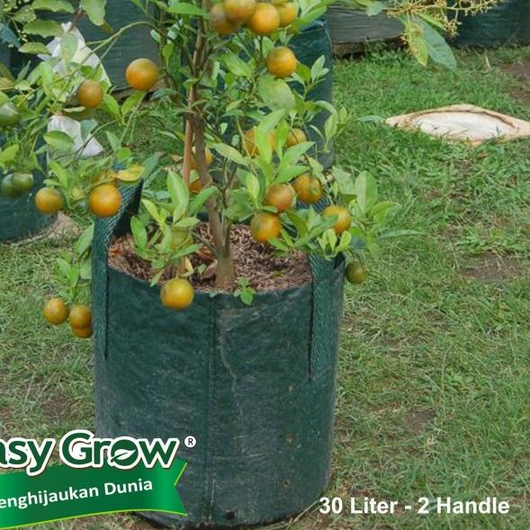 ☄ Planter Bag Easy Grow 30 Liter - Hijau ❈