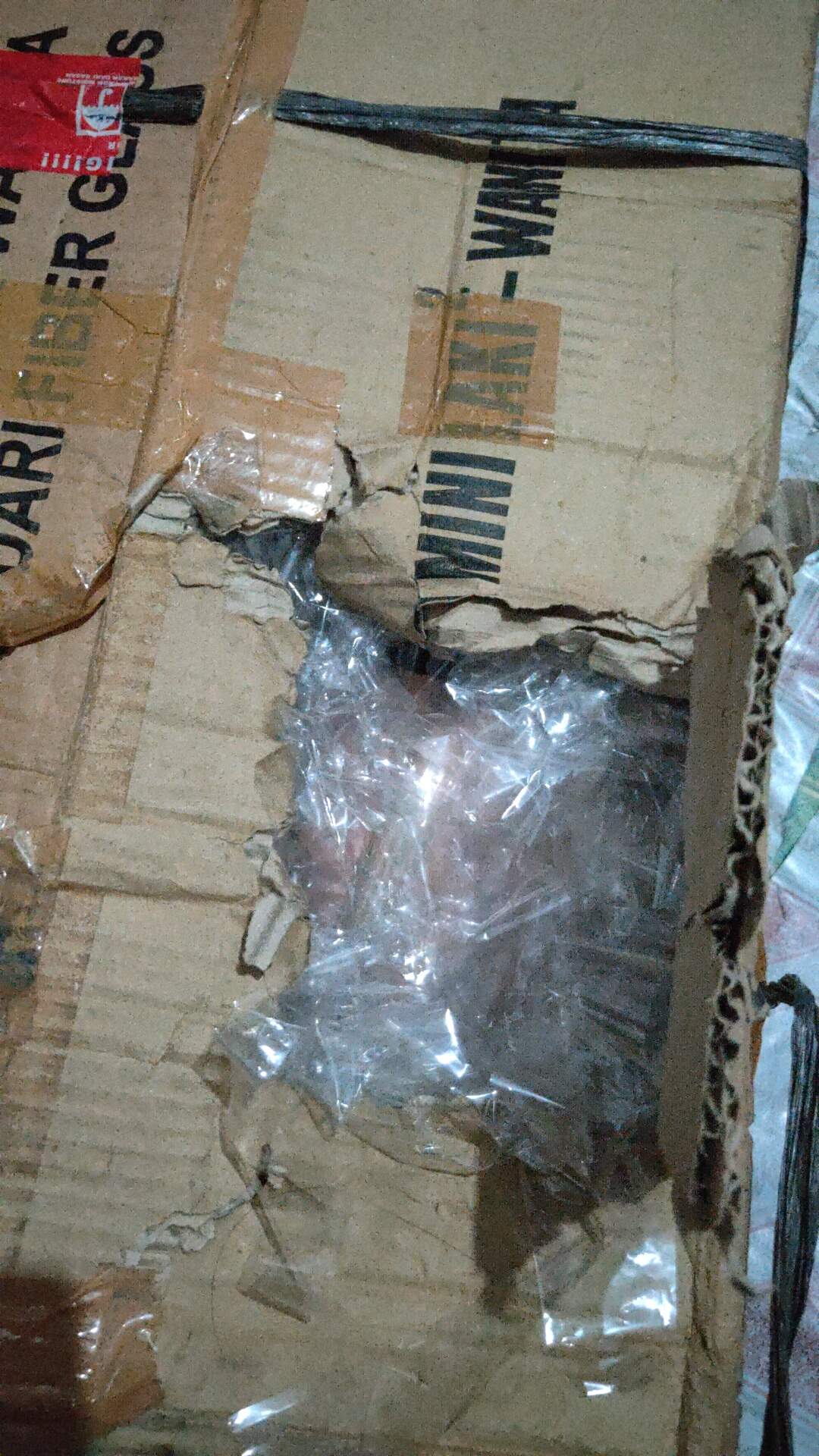 Saranaperaga - Torso Anatomi Manusia Wanita / Perempuan Uk Mini - Alat Peraga Sekolah Ipa