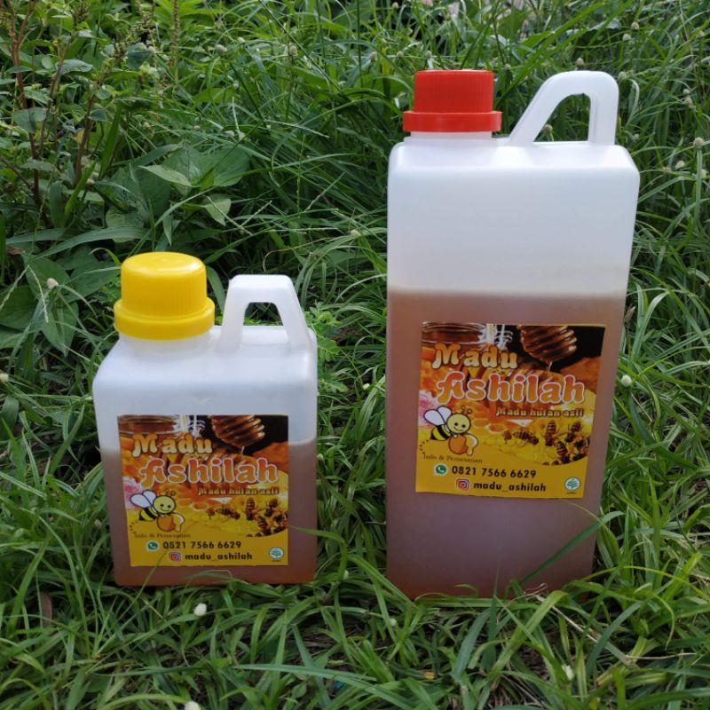 

Madu Hutan Asli 1kg dari hutan Muara Enim Sumatera Selatan