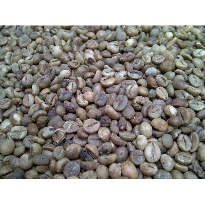 

Jual Biji Kopi Robusta Sorted Grade 1