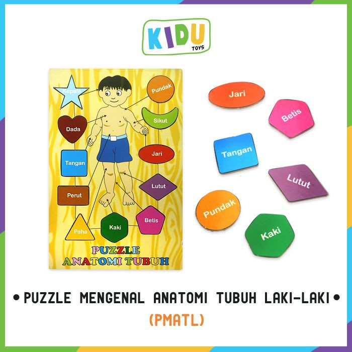  Mainan  Anak  Puzzle Mengenal Anatomi Tubuh Shopee  Indonesia