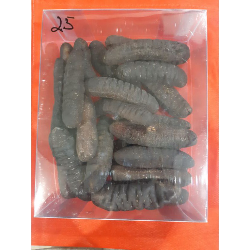 

Haisom, hoisem, teripang laut isi 25