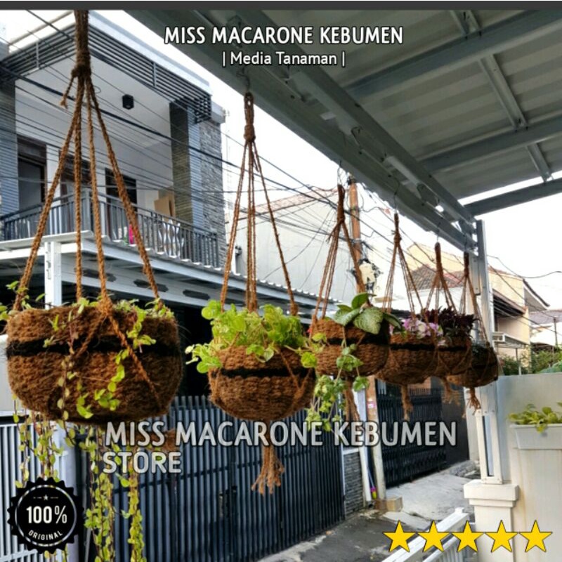 pot besar sabut kelapa gantung