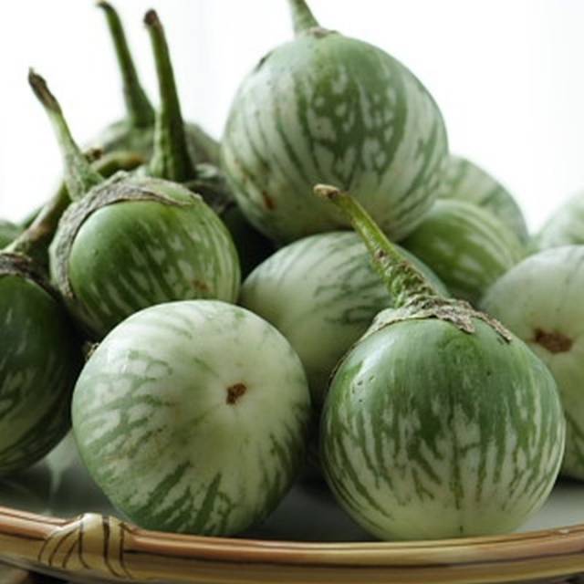 

- CSM - Terong Bulat '" Sayur dan Lalapan "' Fresh