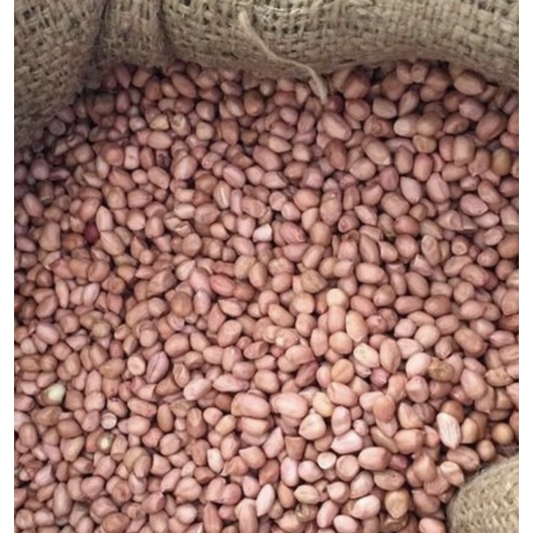 

kacang tanah super/1kg/ukuran besar/kacang tanah super