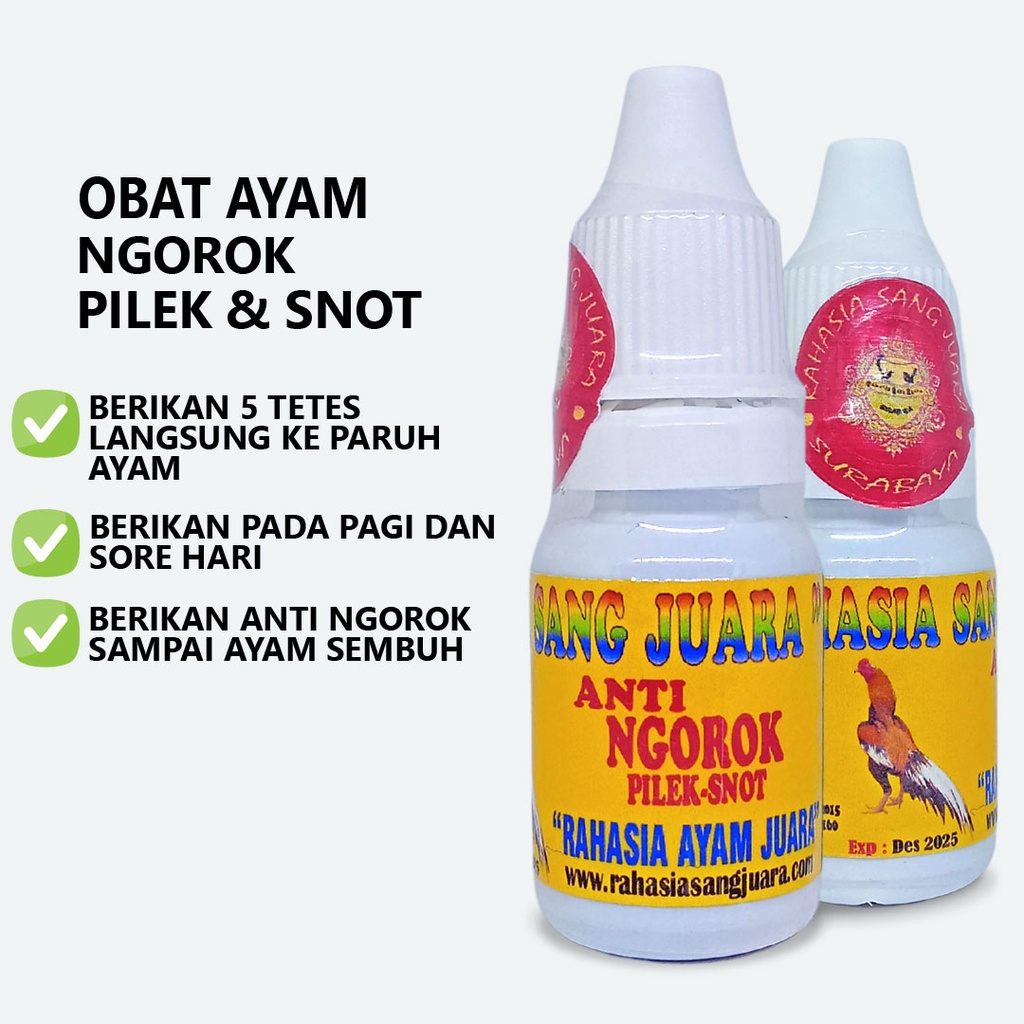 OBAT AYAM NGOROK DAN PILEK OBAT NGOROK AYAM BANGKOK AMPUH MENGATASI AYAM NGOROK DAN PILEK