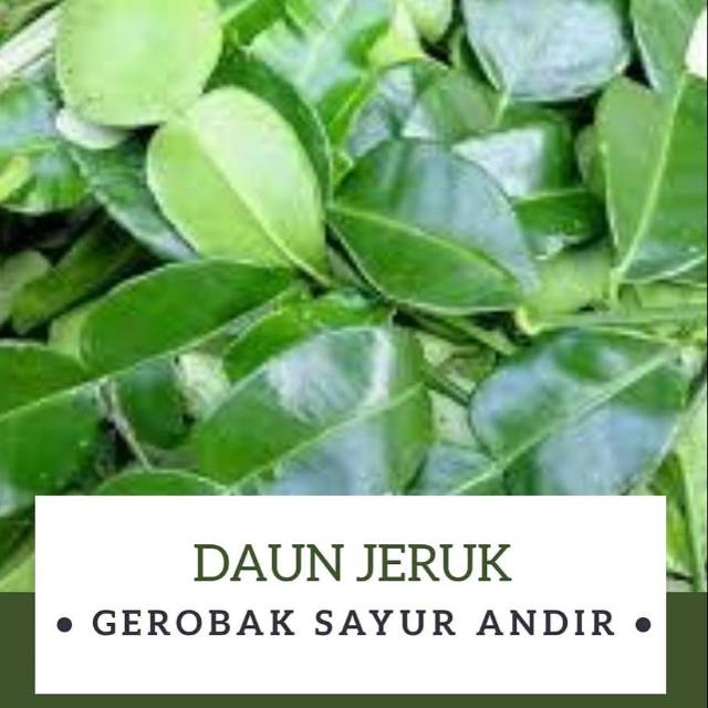 

Daun Jeruk /pack