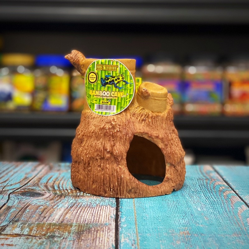 Hiding Cave Bamboo - Breaded Dragon Ular Kadal Gecko