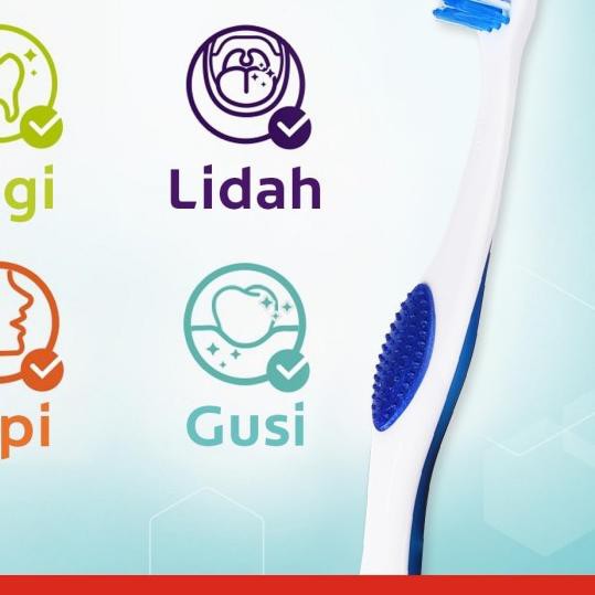 ۝ Colgate Sikat Gigi 360 Base Medium ❊