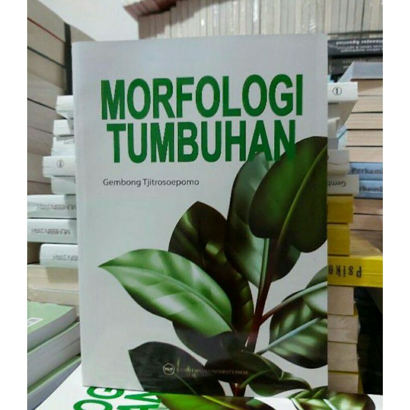 Morfologi Tumbuhan