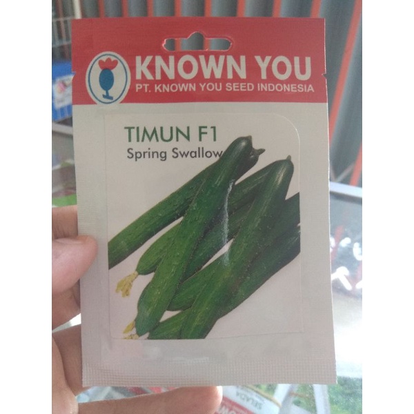 BENIH TIMUN F1 SPRING SWALLOW KNOWN YOU SEED 25 SEEDS
