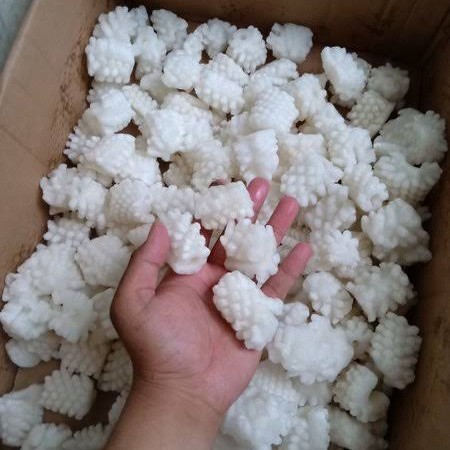 

CUMI FLOWER / SQUID FLOWER IMPORT PREMIUM PER 1 KG