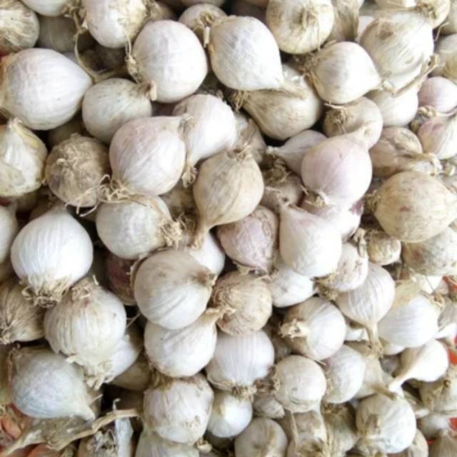

Bawang tunggal lokal 1kg (bukan import)