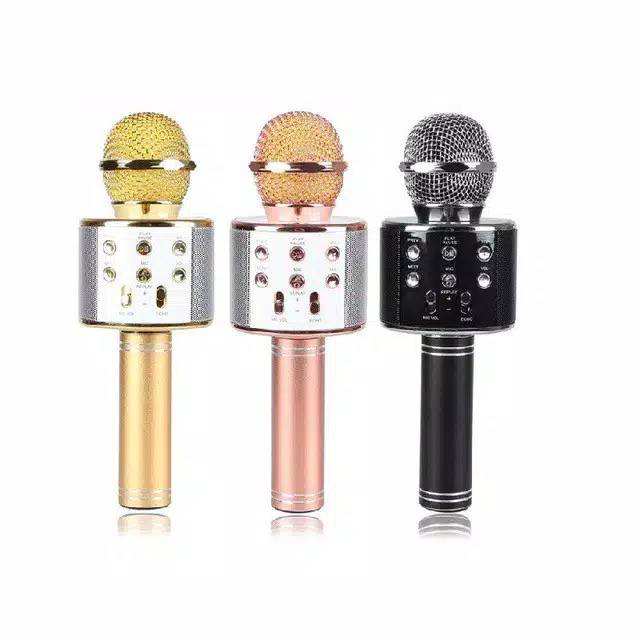 Microphone karaoke wireless