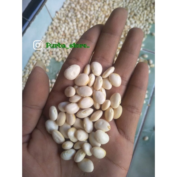 

100%asli kacangputih/kratok|bean putih1kg