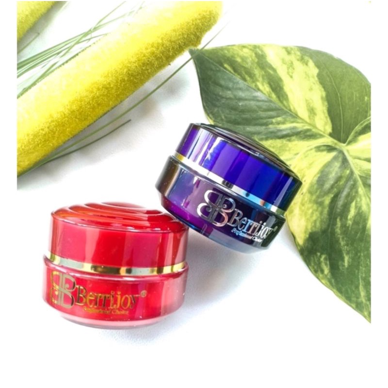 krim siang & krim malam berrijoy (READY STOK)