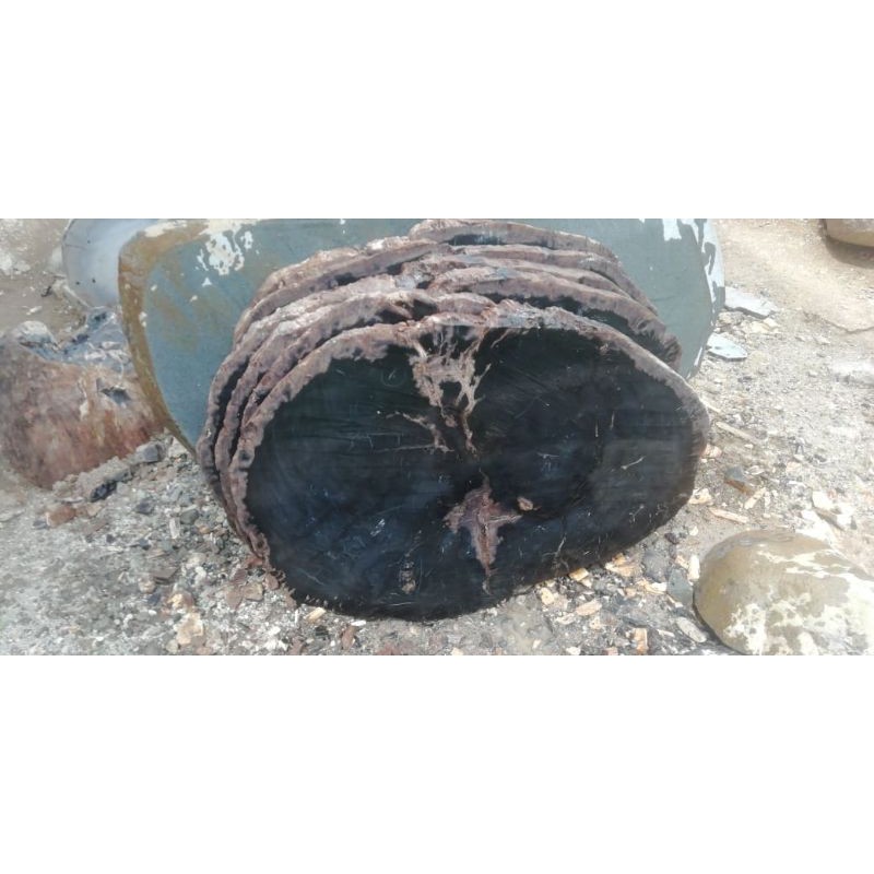 Top Table fosil kayu hitam bulat lonjong