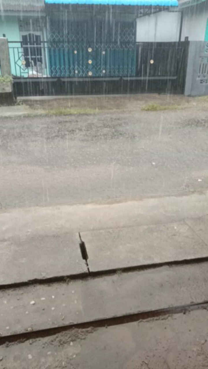 Atasan Batik~bswart Batik Hrb026 Kenongo Hem Pendek Padi Pekalongan Batik Pria Murah Modern Grosir 1