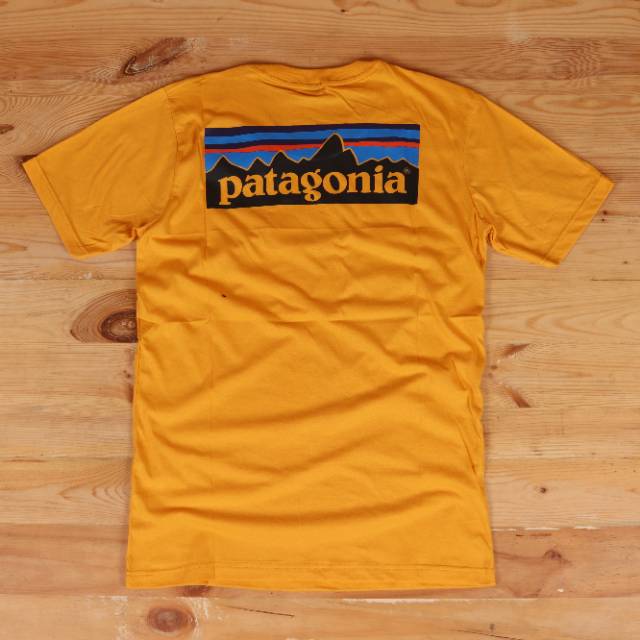 patagonia orange shirt