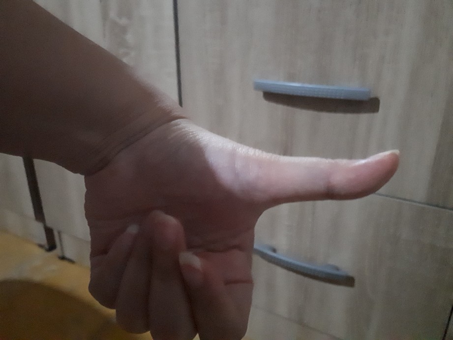 Hlokh886 Pembersih Sponge Cuci Piring 2 Sisi Spons Cuci Serbaguna Catty Spon Cuci Piring Sabut Busa