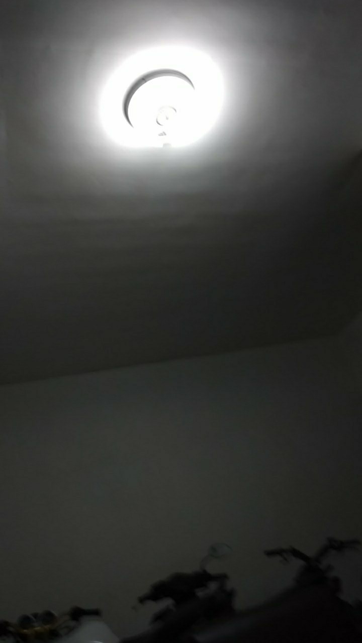 Tabasa Payung Lipat Racoon Berkuping Tl 106